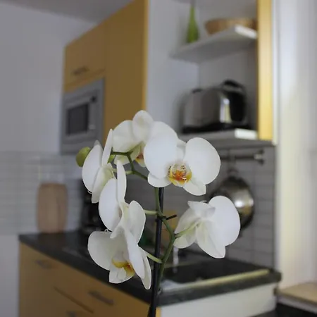 Апартаменты Weber