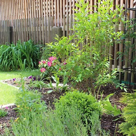 Апартаменты Weber